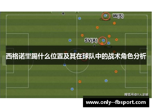 西格诺里踢什么位置及其在球队中的战术角色分析
