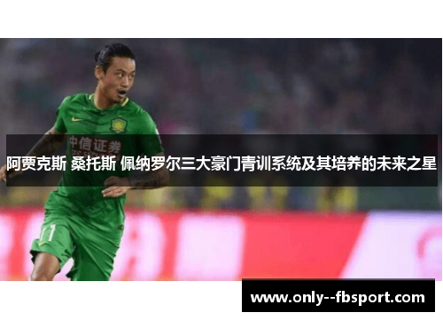 阿贾克斯 桑托斯 佩纳罗尔三大豪门青训系统及其培养的未来之星 阿贾克斯 桑托斯 佩纳罗尔三大豪门青训系统及其培养的未来之星